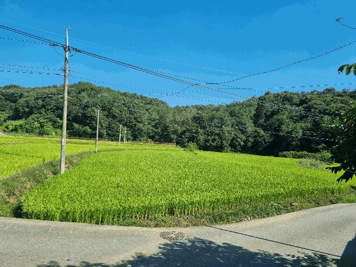 충청남도 천안시 동남구 광덕면 무학리 89-6 주택 경매 사진 3
