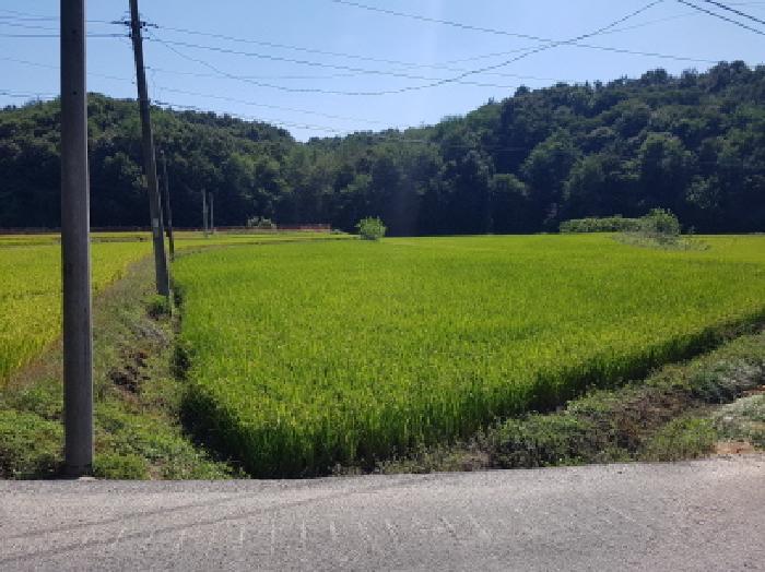 충청남도 천안시 동남구 광덕면 무학리 89-6 주택 경매 사진 9