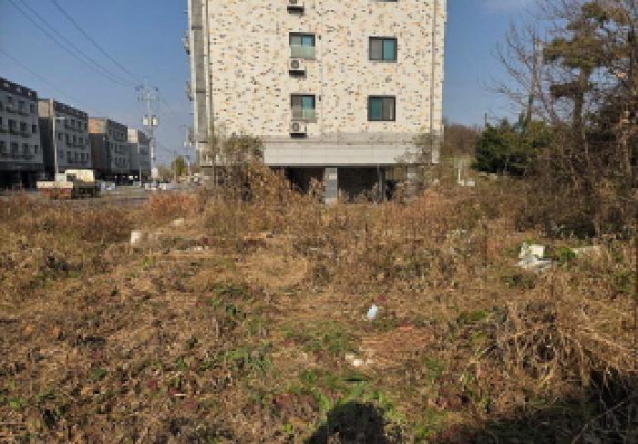 충청남도 아산시 둔포면 관대리 195-62 전 경매 사진 30