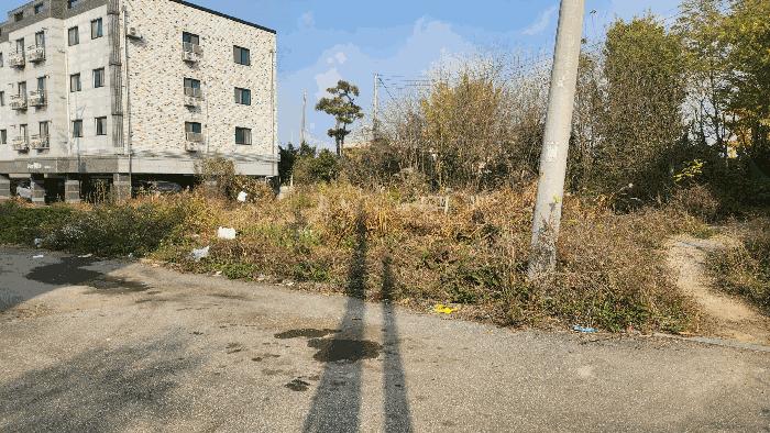 충청남도 아산시 둔포면 관대리 195-62 전 경매 사진 4