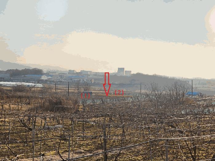 충청남도 천안시 서북구 성거읍 오목리 115 과수원 경매 사진 1