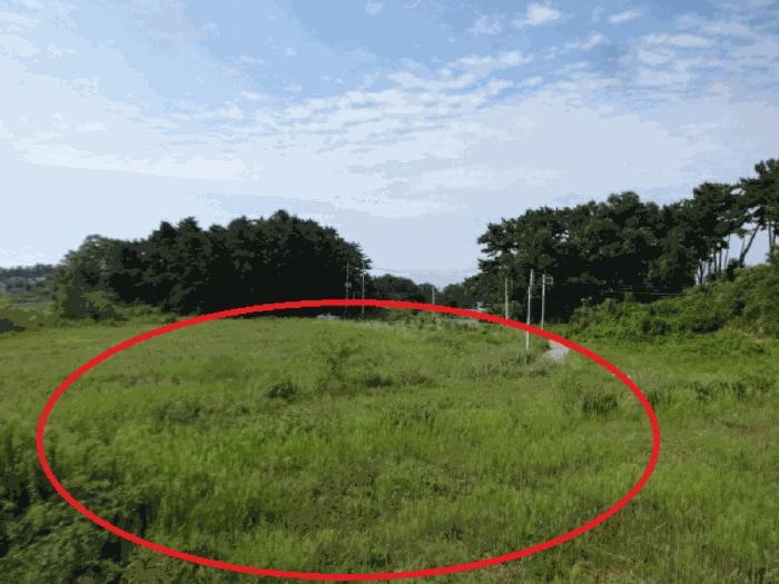 경기도 안산시 단원구 대부남동 46 답 경매 사진 11