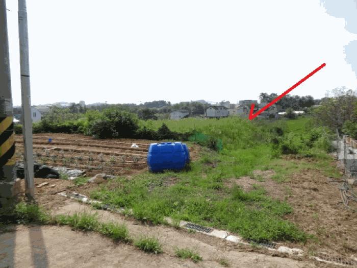 경기도 안산시 단원구 대부남동 46 답 경매 사진 12
