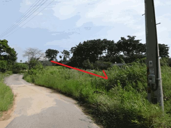 경기도 안산시 단원구 대부남동 46 답 경매 사진 18
