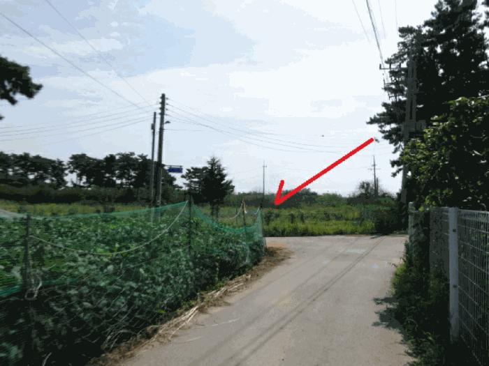 경기도 안산시 단원구 대부남동 46 답 경매 사진 6
