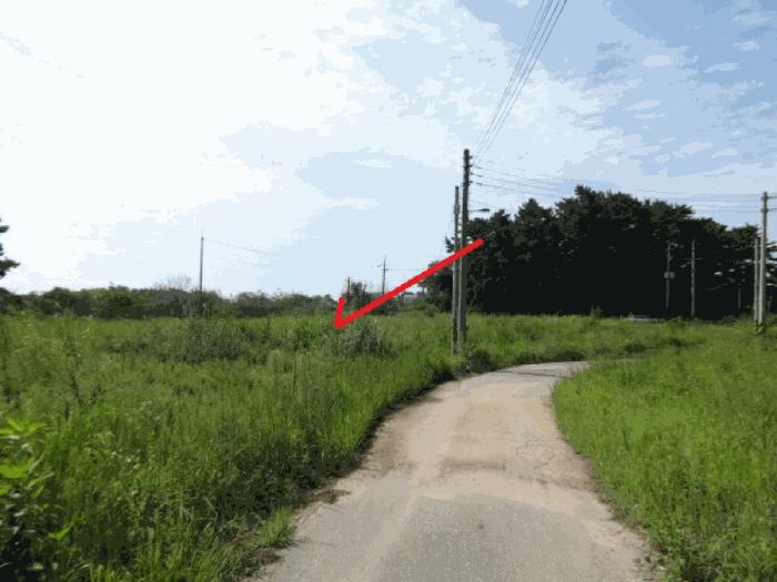 경기도 안산시 단원구 대부남동 46 답 경매 사진 8