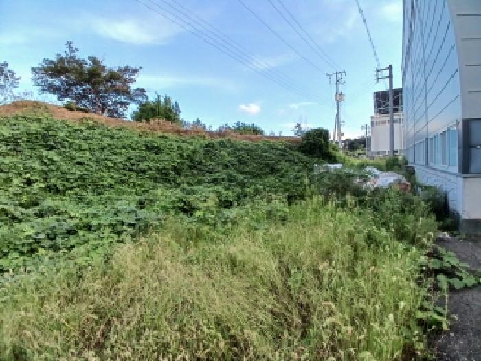 충청남도 당진시 고대면 대촌리 425 창고 경매 사진 14