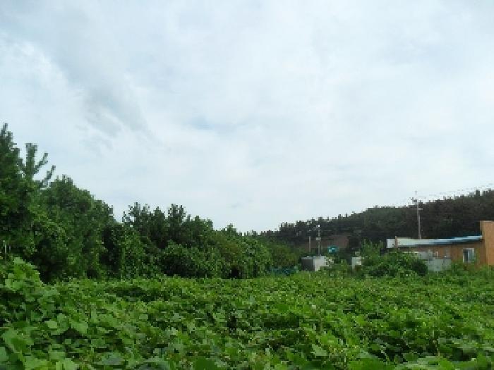 충청남도 태안군 남면 당암리 530 상가 경매 사진 17