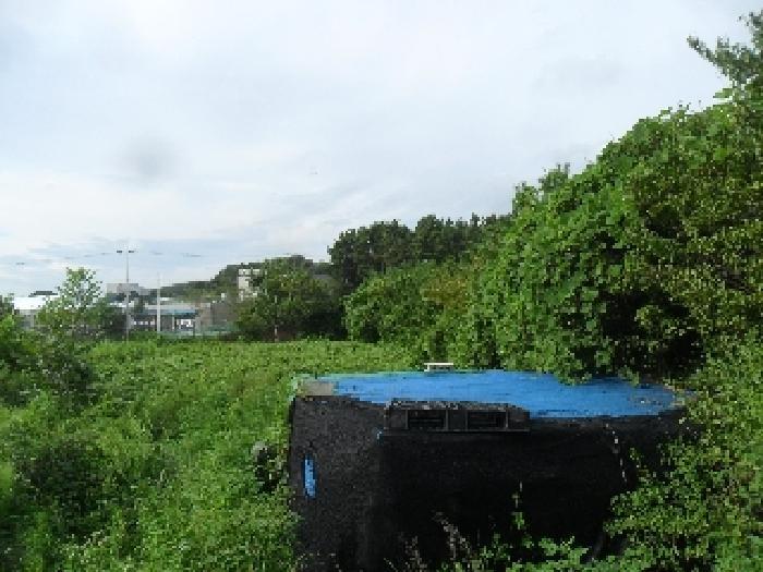 충청남도 태안군 남면 당암리 530 상가 경매 사진 23