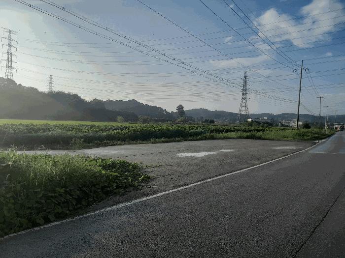 충청남도 당진시 송악읍 월곡리 131-87 답 경매 사진 4
