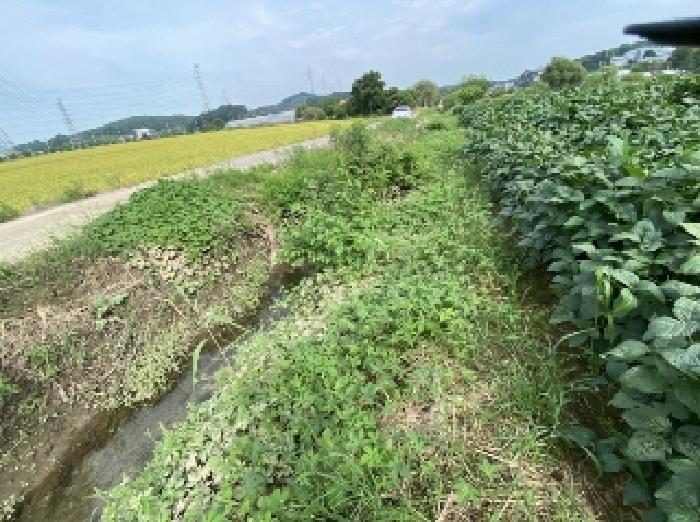 충청남도 당진시 송악읍 고대리 144-6 답 경매 사진 13