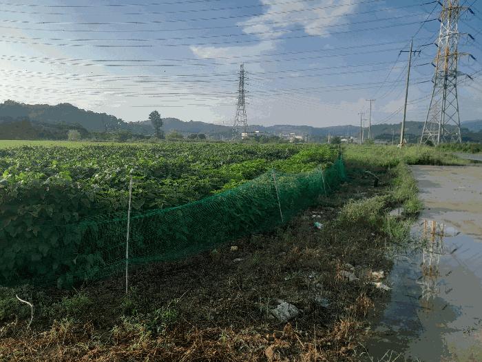 충청남도 당진시 송악읍 고대리 144-6 답 경매 사진 2