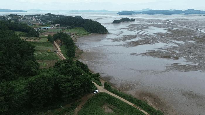 충청남도 태안군 소원면 파도리 130-45 잡종지 경매 사진 10