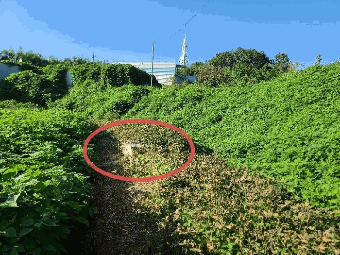 충청남도 당진시 석문면 삼화리 192-27 기타토지 경매 사진 12