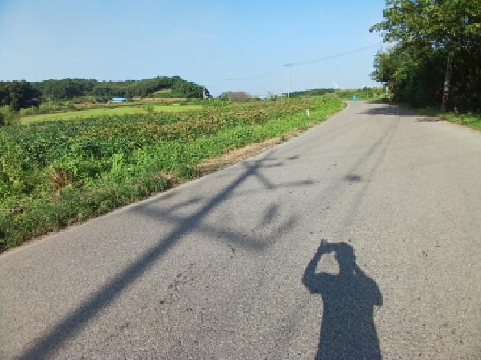충청남도 당진시 석문면 삼화리 192-27 기타토지 경매 사진 25