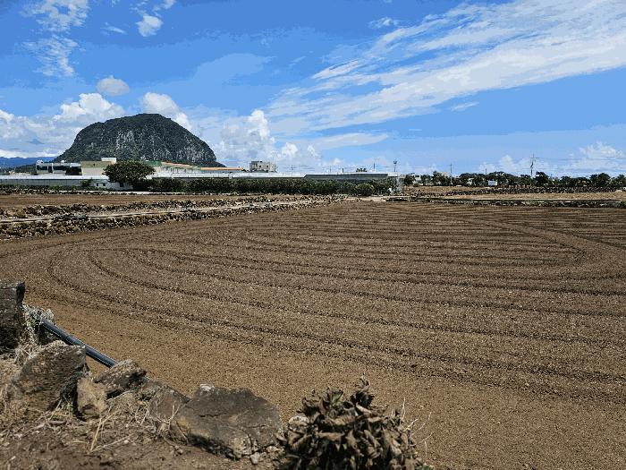 제주 서귀포시 전