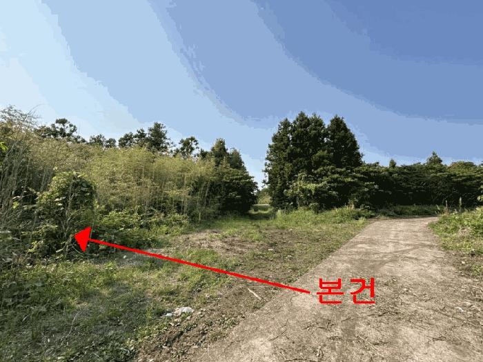 제주특별자치도 서귀포시 표선면 가시리 2658-2 임야 경매 사진 3