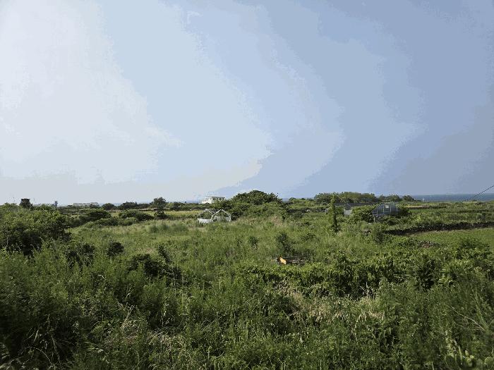 제주특별자치도 제주시 애월읍 애월리 1919 전 경매 사진 5