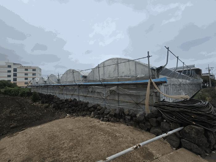 제주특별자치도 제주시 구좌읍 김녕리 1694-2 전 경매 사진 11