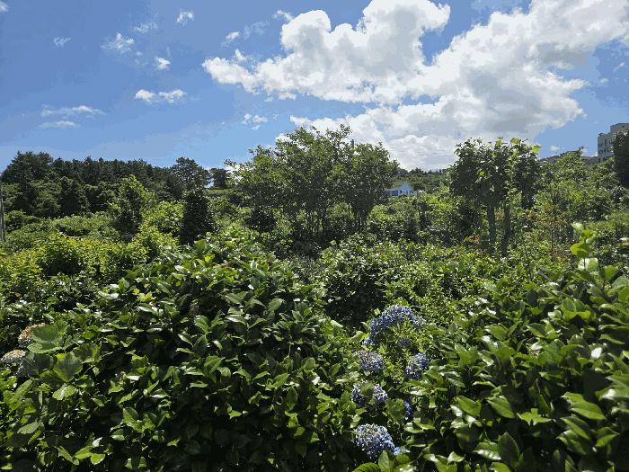 제주특별자치도 제주시 애월읍 유수암리 1030-2 임야 경매 사진 1