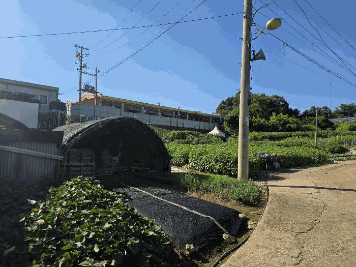 경기도 파주시 파주읍 백석리 76 대지 경매 사진 4