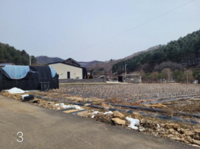 경기도 양평군 단월면 명성리 557 주택 경매 사진 31