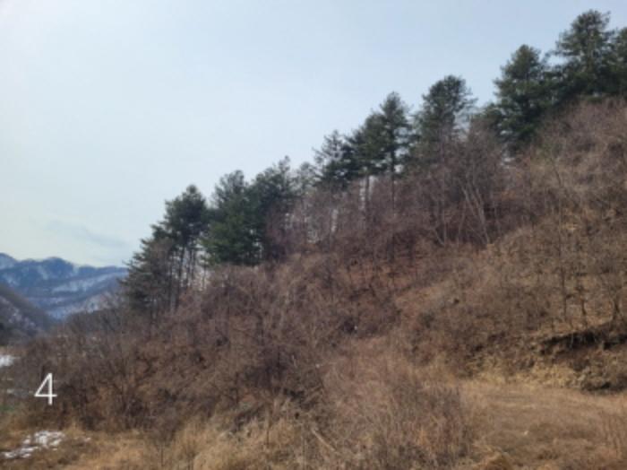 경기도 양평군 단월면 명성리 557 주택 경매 사진 33