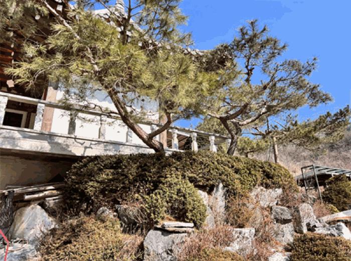 경기도 양평군 단월면 명성리 산166-7 임야 경매 사진 21