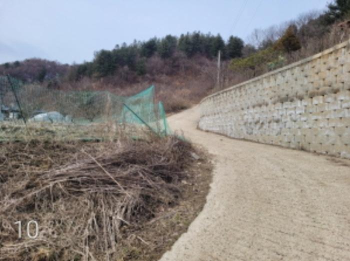 경기도 양평군 단월면 명성리 산166-7 임야 경매 사진 37