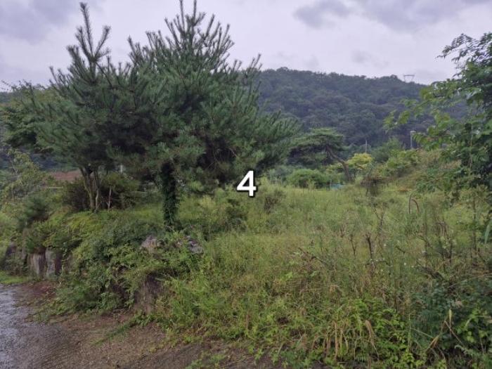 경기도 양평군 강하면 동오리 771-3 주택 경매 사진 17