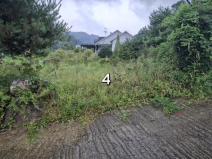 경기도 양평군 강하면 동오리 771-3 주택 경매 사진 18