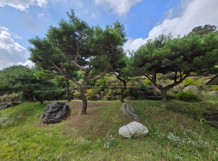 경기도 양평군 강하면 동오리 771-3 주택 경매 사진 5
