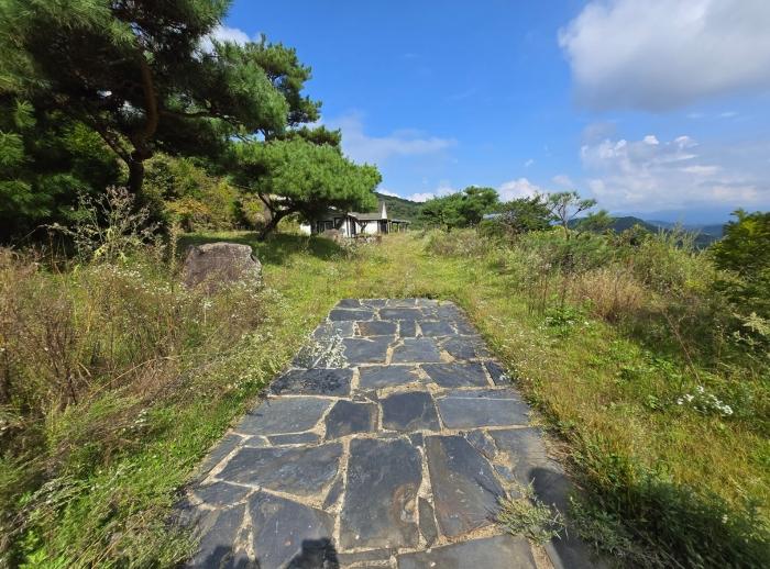 경기도 양평군 강하면 동오리 771-3 주택 경매 사진 9
