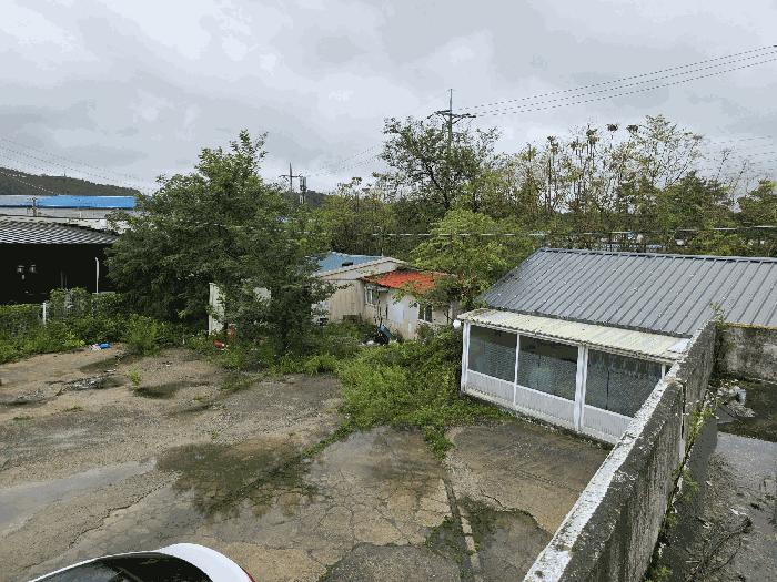 강원특별자치도 고성군 죽왕면 향목리 287-2 주유소 경매 사진 9