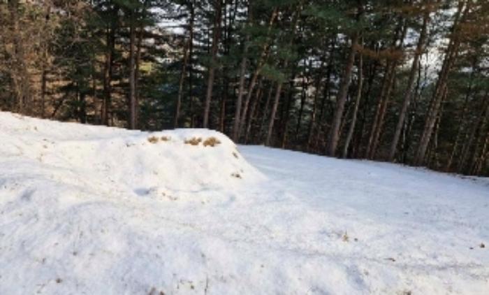 경기도 양평군 서종면 수능리 산14 임야 경매 사진 12