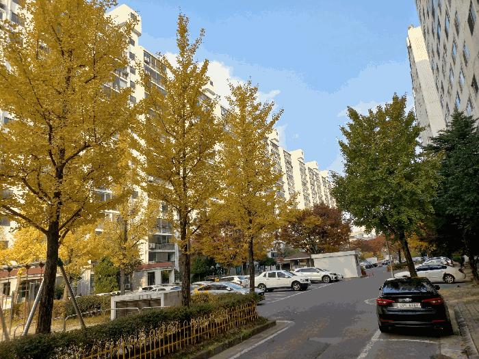 대전광역시 서구 정림동 584 우성아파트 101동 10층1008호 아파트 경매 사진 4