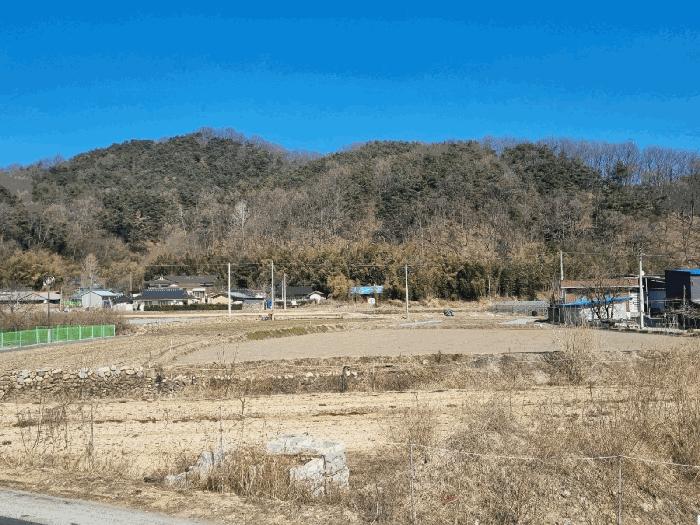 경상북도 김천시 구성면 상좌원리 87-1 답 경매 사진 1