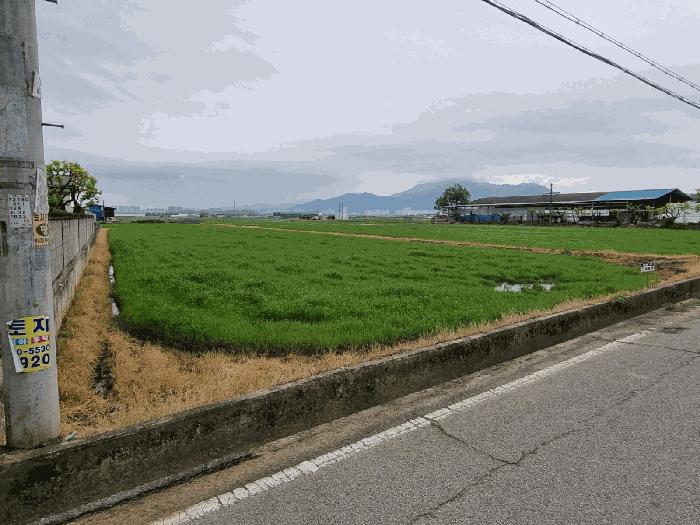 경상북도 구미시 고아읍 괴평리 600-3 답 경매 사진 3