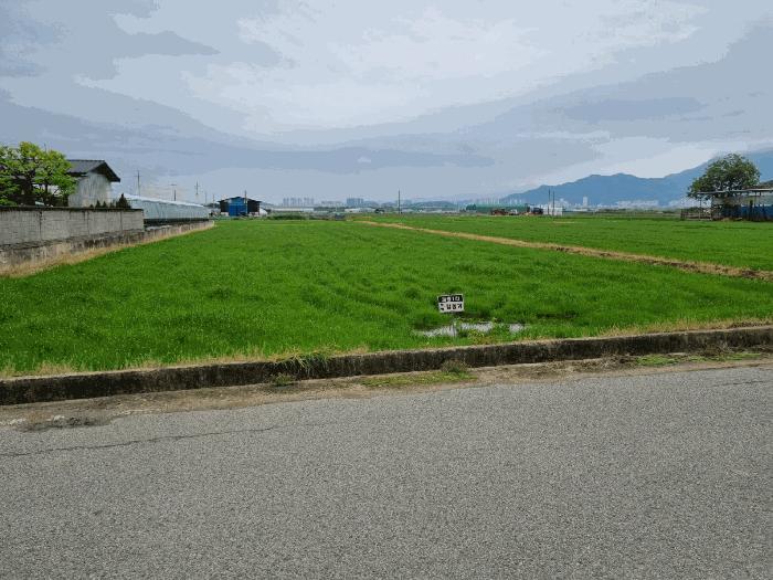 경상북도 구미시 고아읍 괴평리 600-3 답 경매 사진 4
