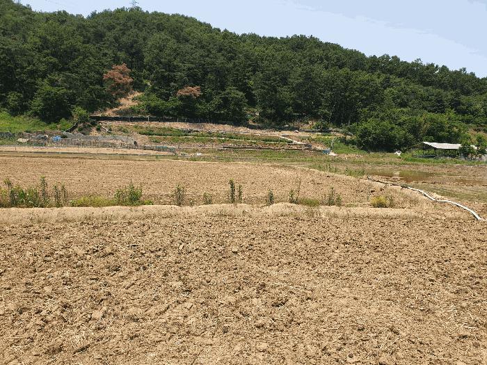 경상북도 구미시 답