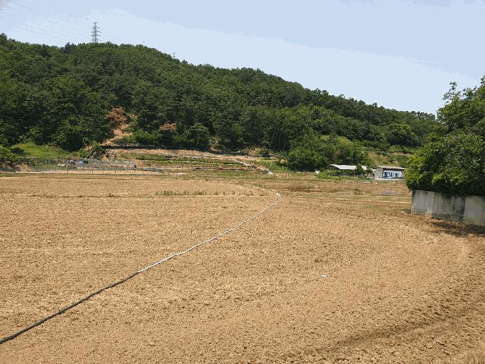 경상북도 구미시 산동읍 적림리 431-1 답 경매 사진 2