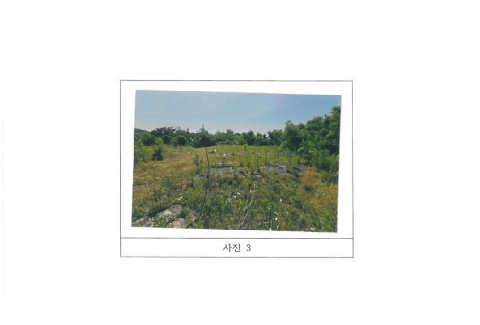 경상북도 김천시 문당동 402-1 전 경매 사진 11