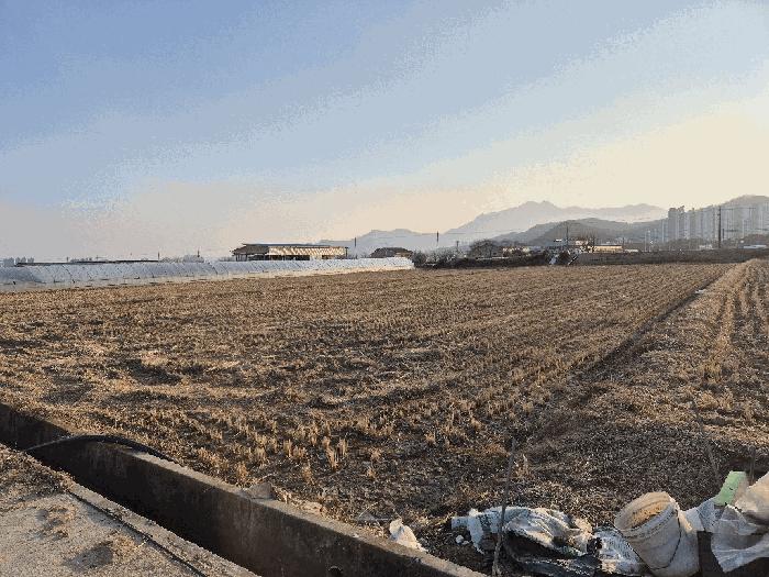 경상북도 구미시 고아읍 문성리 208 답 경매 사진 2