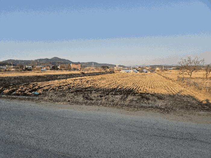 경상북도 구미시 고아읍 문성리 365 답 경매 사진 1