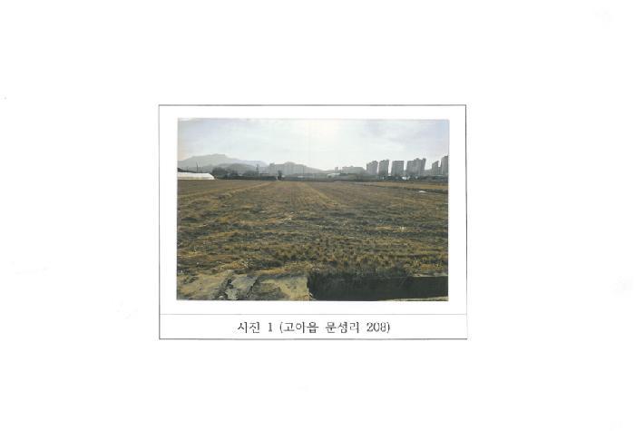 경상북도 구미시 고아읍 문성리 365 답 경매 사진 3