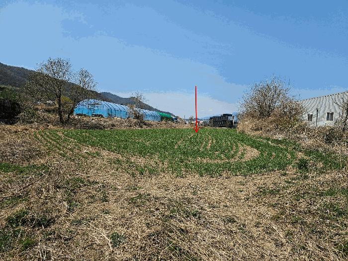 경상북도 구미시 신동 674 답 경매 사진 4