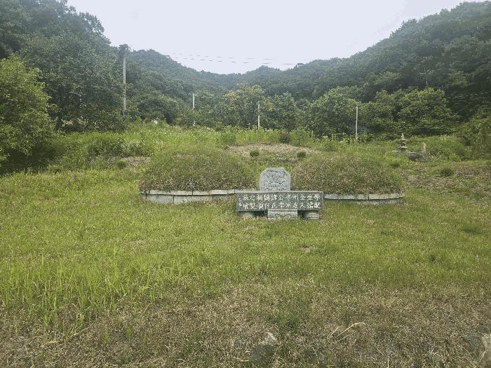 경상북도 김천시 봉산면 상금리 462-1 답 경매 사진 5