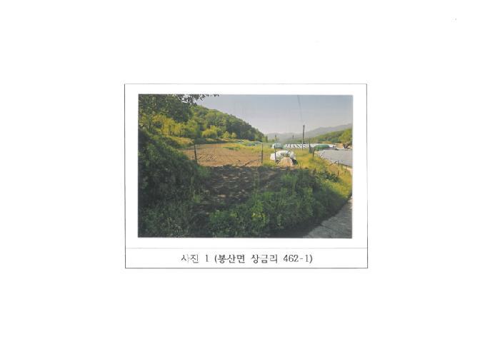 경상북도 김천시 봉산면 상금리 462-1 답 경매 사진 9
