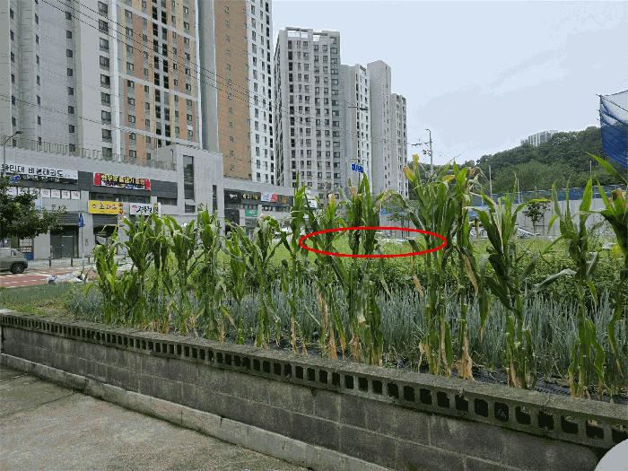 경상북도 구미시 고아읍 문성리 1634 대지 경매 사진 2
