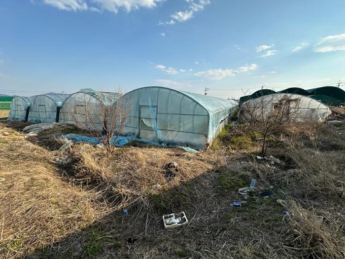 부산광역시 강서구 강동동 3065 답 경매 사진 2